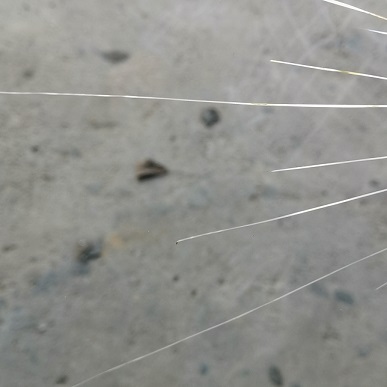 前擋風玻璃裂了一條線