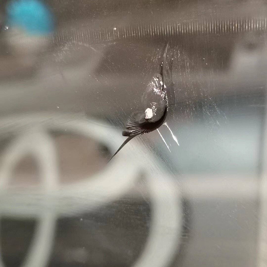 汽車玻璃拆裝專用工具 汽車玻璃拆裝專用工具